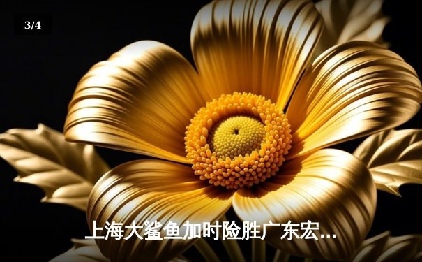 上海大鲨鱼加时险胜广东宏远，王哲林狂砍38分创赛季新高 - 3